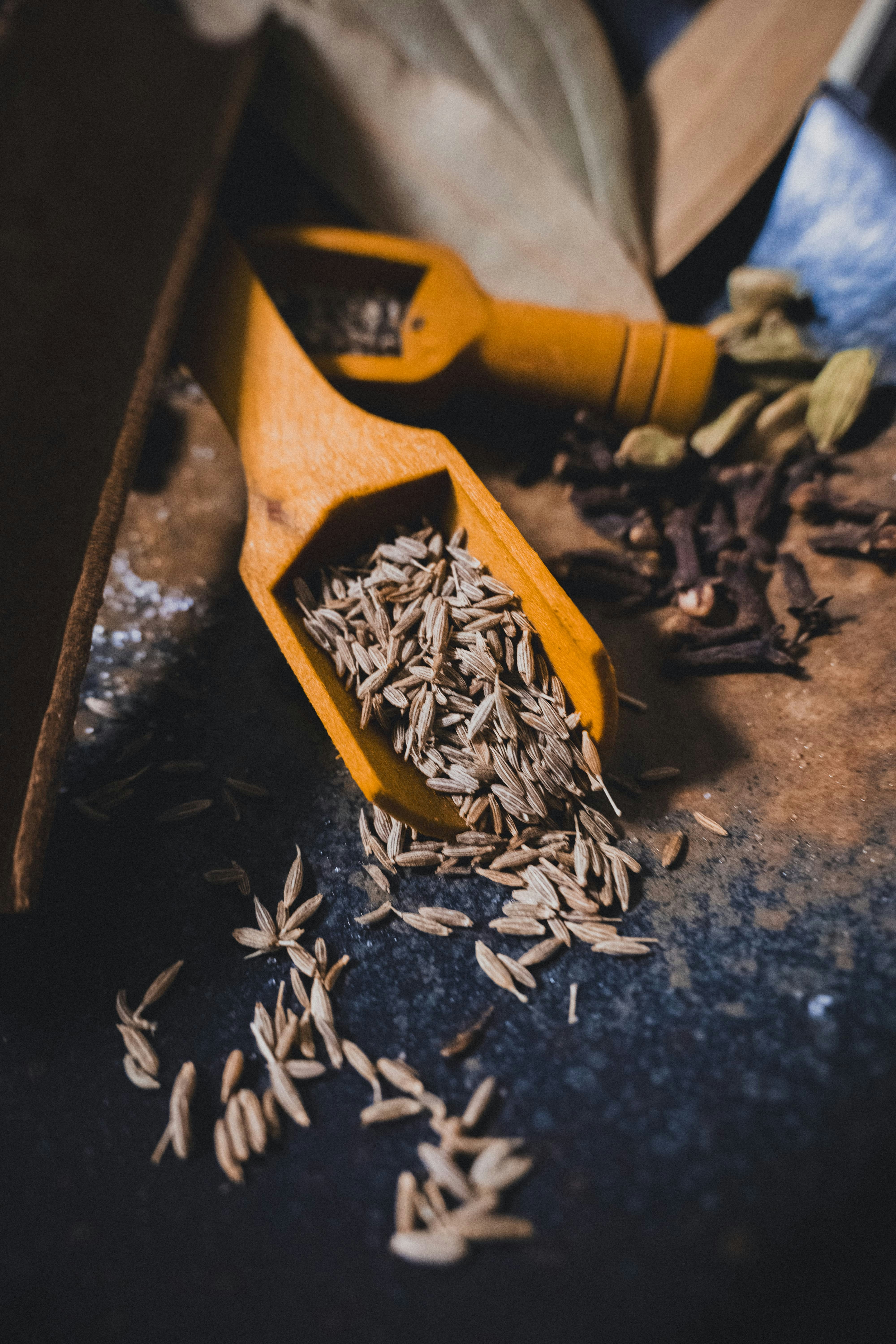 Cumin Seed