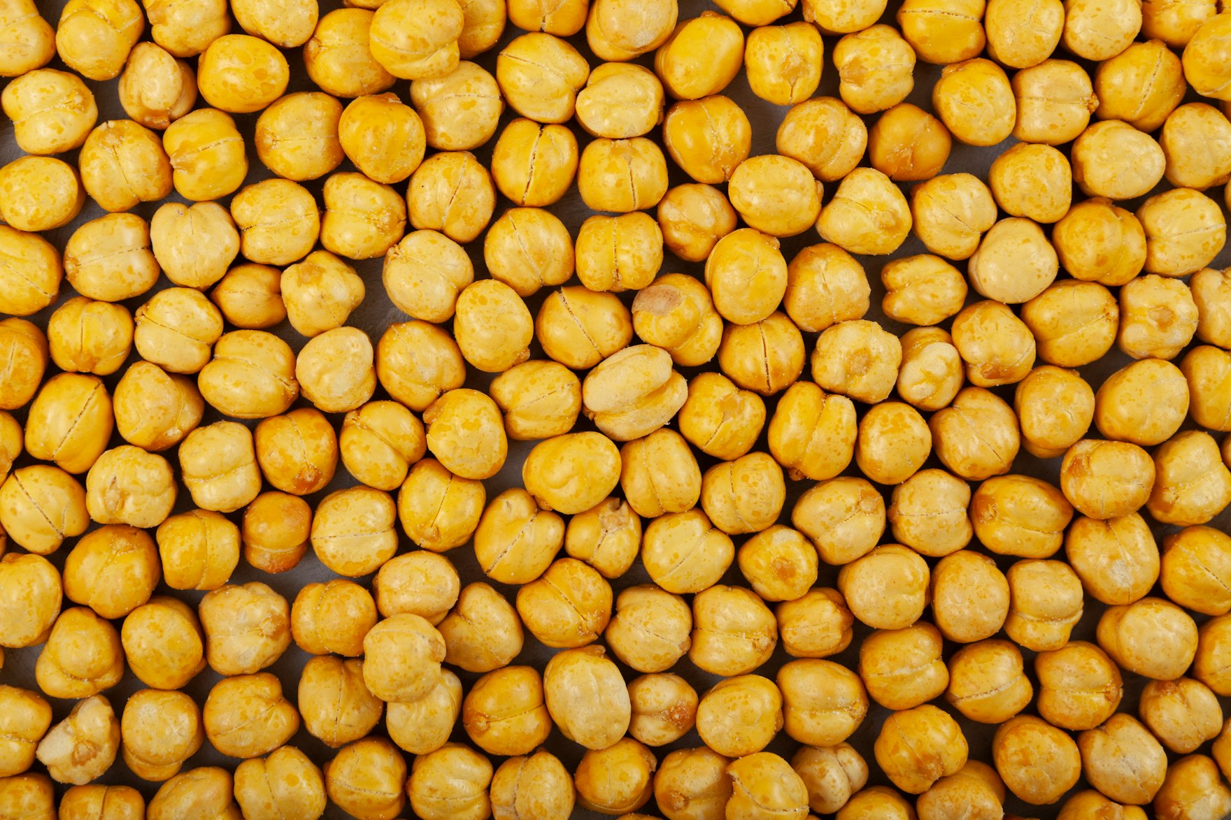 Chickpea