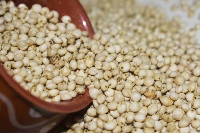 Sorghum / Millet