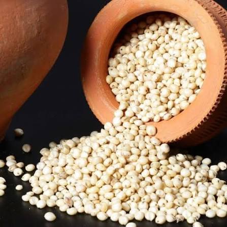 Sorghum and Millets