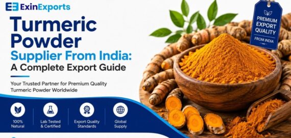 turmeric powder supplier