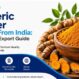turmeric powder supplier