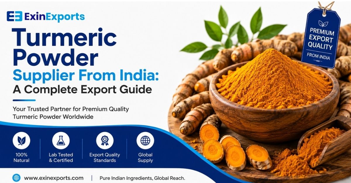 turmeric powder supplier